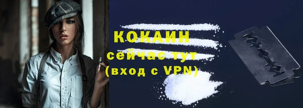 прущие крисы Алзамай