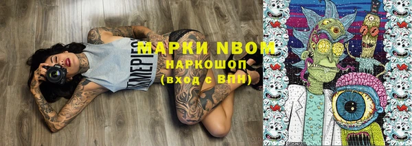 шишки Алексин