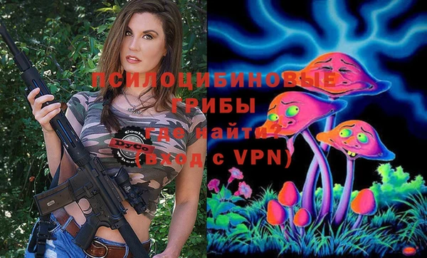 шишки Алексин