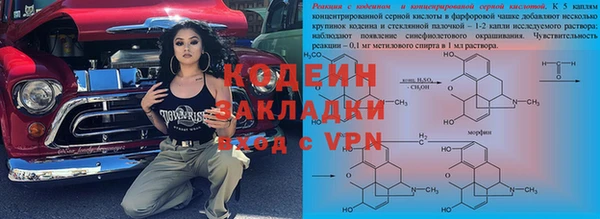 шишки Алексин