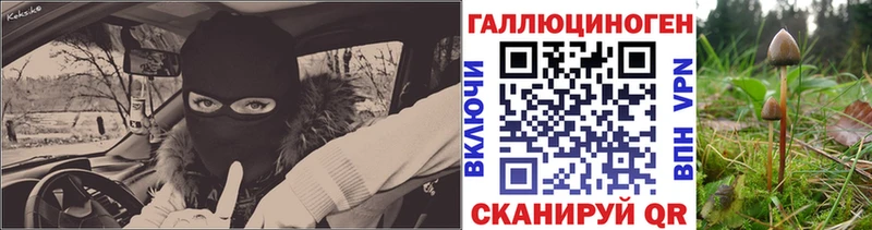 Купить  Пойковский  Галлюциногенные грибы ЛСД 